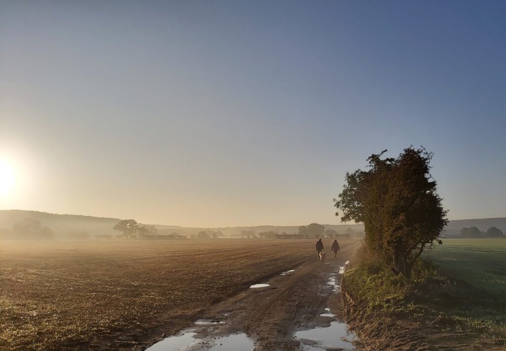 Image of countryside views in Thorpe Bassett, Ryedale, North Yorkshire - local scenery, nearby Pheasant's Roosts Shepherds Hut. Dog-friendly holiday and walks.
