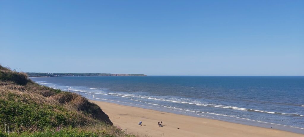 Image of Hunmanby Gap coastline. Dog-friendly beach.
Dog-Friendly Holidays near Malton and North Yorkshire.